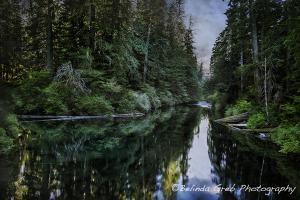 Musings with Camera In Hand - October 5, 2014